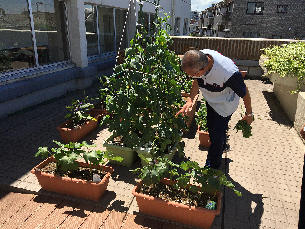 6月10日 　ガーデンテラス